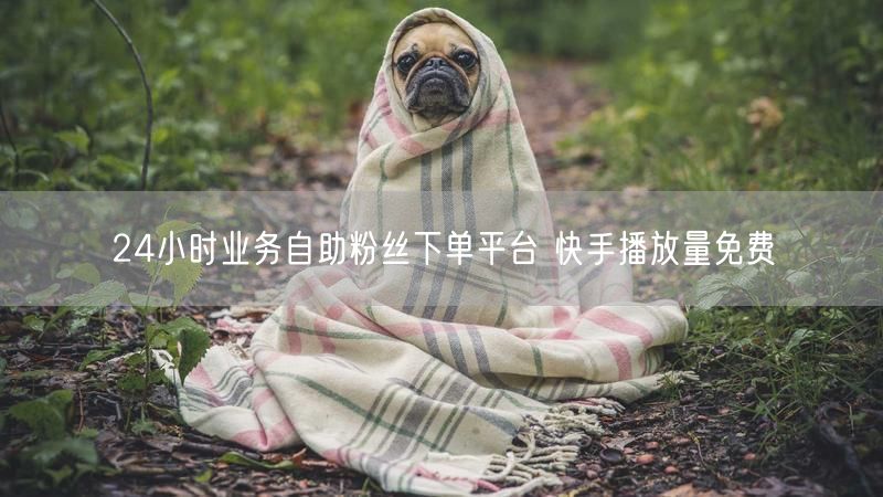 24小时业务自助粉丝下单平台 快手播放量免费