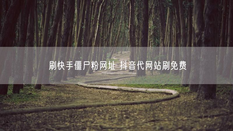 刷快手僵尸粉网址 抖音代网站刷免费