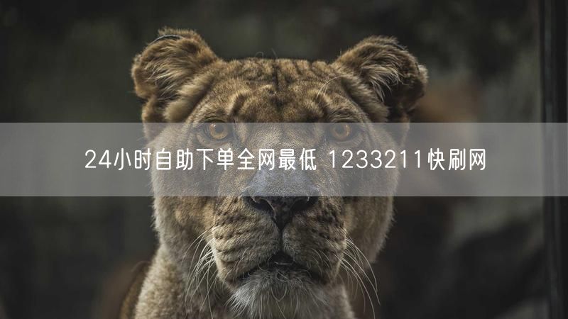 24小时自助下单全网最低 1233211快刷网