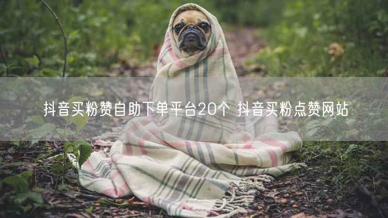 抖音买粉赞自助下单平台20个 抖音买粉点赞网站