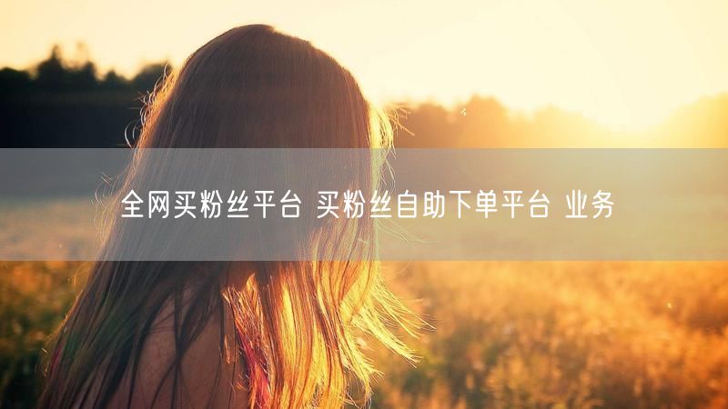全网买粉丝平台 买粉丝自助下单平台 业务