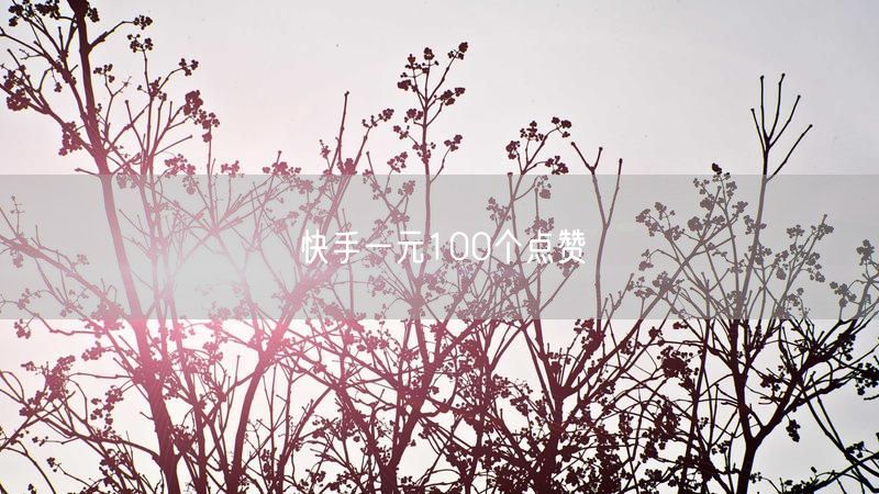 快手一元100个点赞