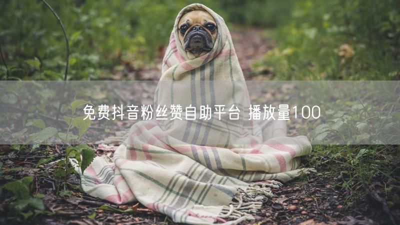 免费抖音粉丝赞自助平台 播放量100