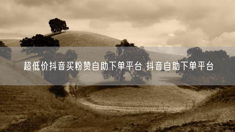 超低价抖音买粉赞自助下单平台 抖音自助下单平台