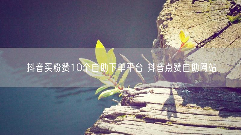 抖音买粉赞10个自助下单平台 抖音点赞自助网站