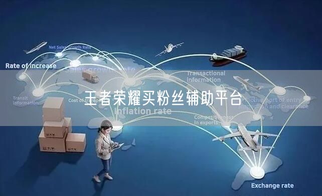 王者荣耀买粉丝辅助平台