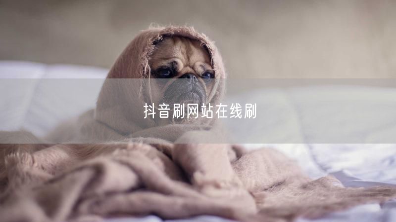 抖音刷网站在线刷