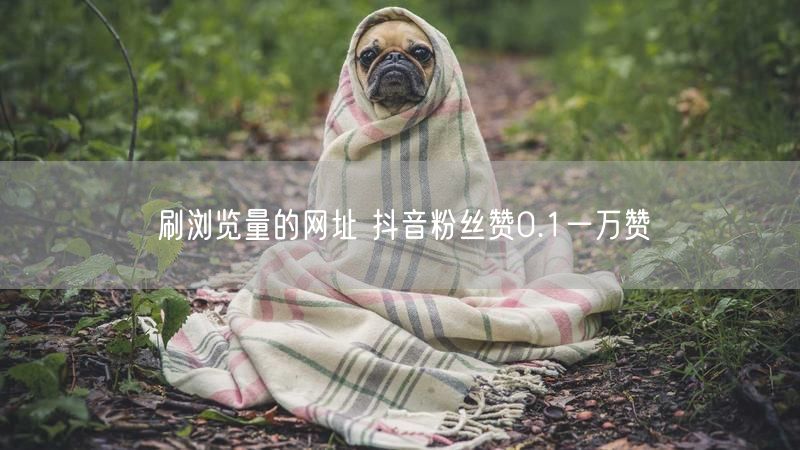 刷浏览量的网址 抖音粉丝赞0.1一万赞