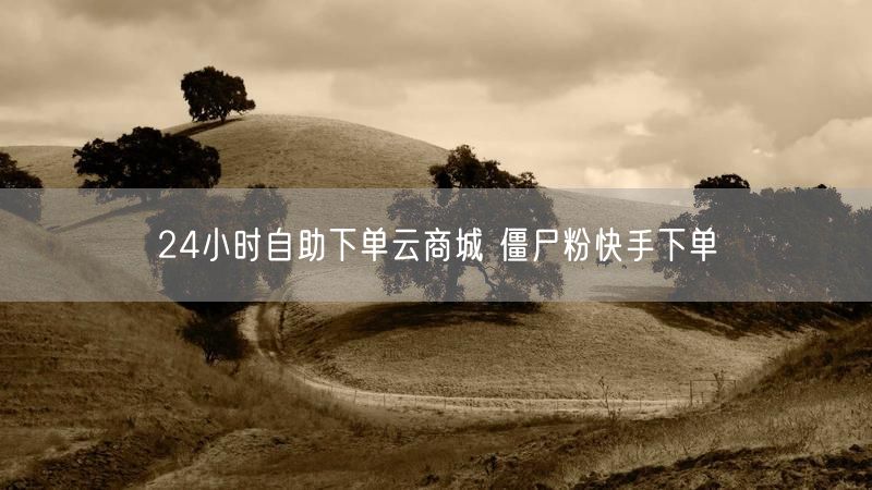 24小时自助下单云商城 僵尸粉快手下单