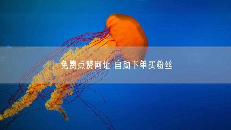 免费点赞网址 自助下单买粉丝