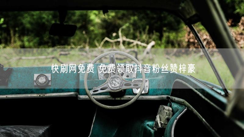 快刷网免费 免费领取抖音粉丝赞梓豪