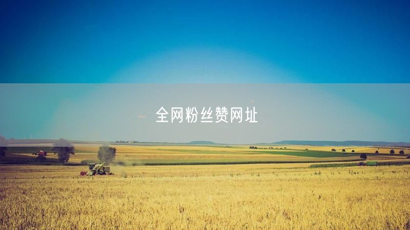 全网粉丝赞网址