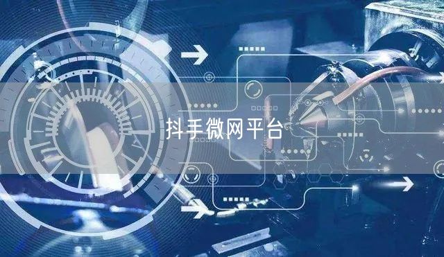 抖手微网平台