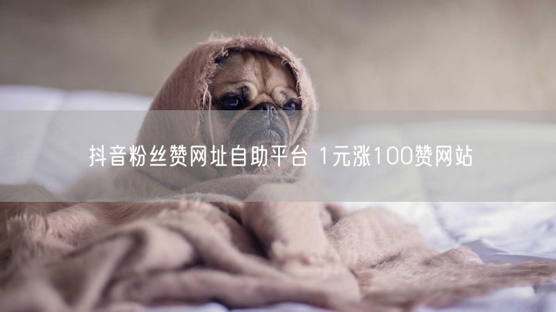 抖音粉丝赞网址自助平台 1元涨100赞网站