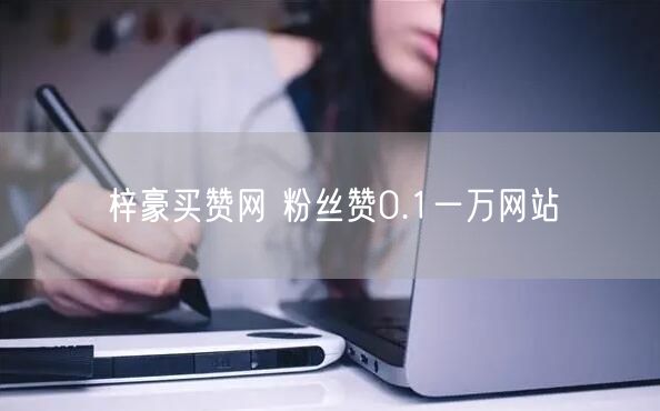 梓豪买赞网 粉丝赞0.1一万网站