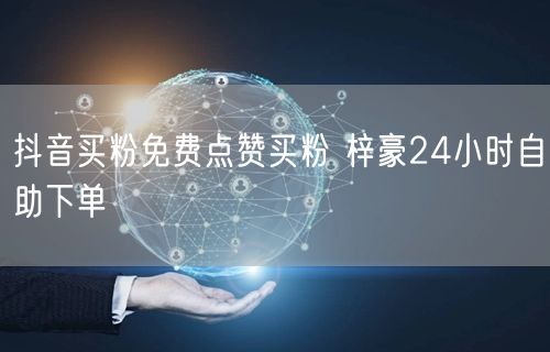 抖音买粉免费点赞买粉 梓豪24小时自助下单