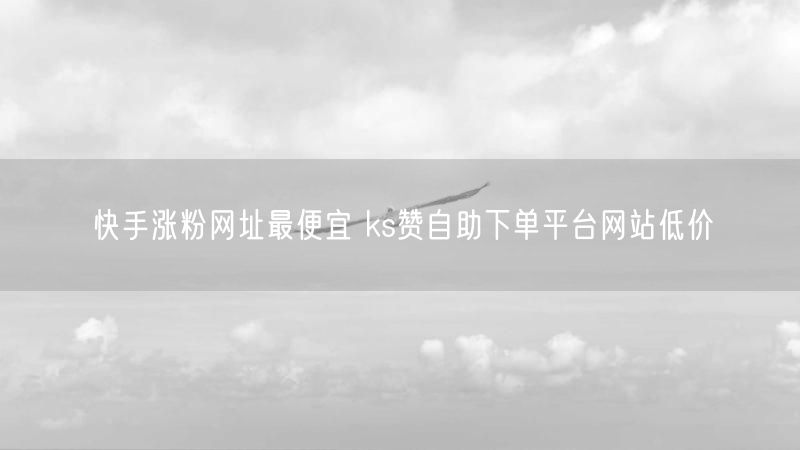 快手涨粉网址最便宜 ks赞自助下单平台网站低价