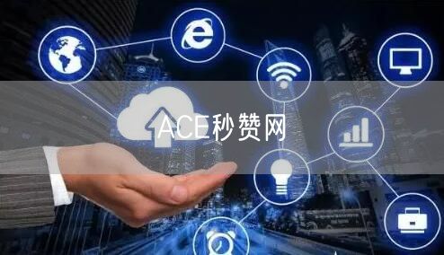 ACE秒赞网
