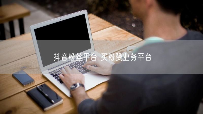抖音粉丝平台 买粉赞业务平台