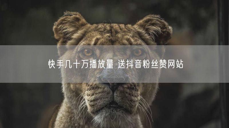 快手几十万播放量 送抖音粉丝赞网站