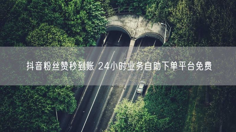 抖音粉丝赞秒到账 24小时业务自助下单平台免费
