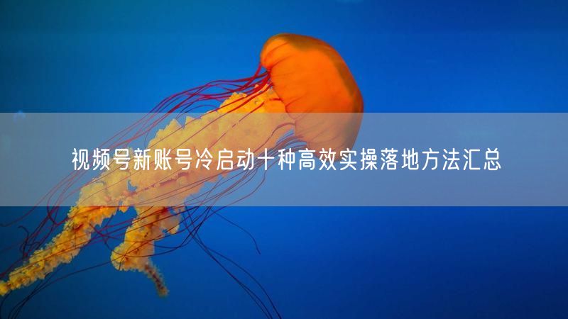 视频号新账号冷启动十种高效实操落地方法汇总