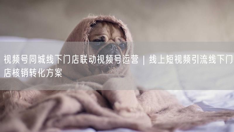 视频号同城线下门店联动视频号运营｜线上短视频引流线下门店核销转化方案