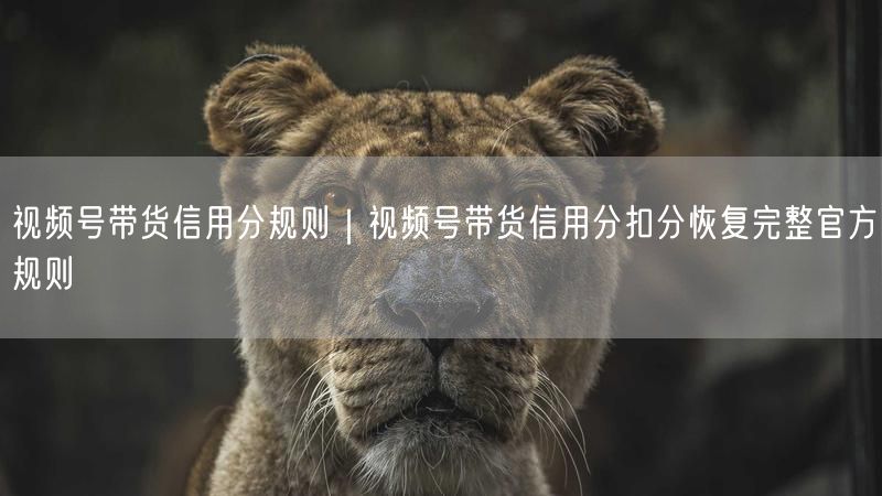 视频号带货信用分规则｜视频号带货信用分扣分恢复完整官方规则