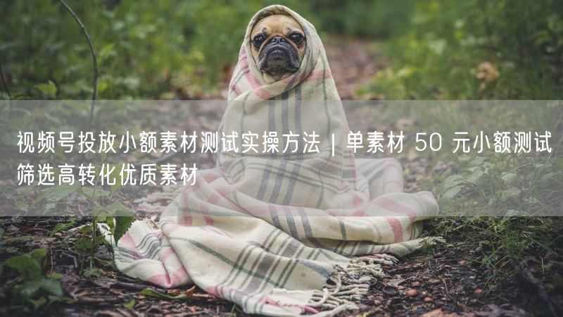 视频号投放小额素材测试实操方法｜单素材 50 元小额测试筛选高转化优质素材