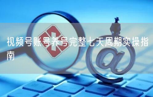 视频号账号养号完整七天周期实操指南