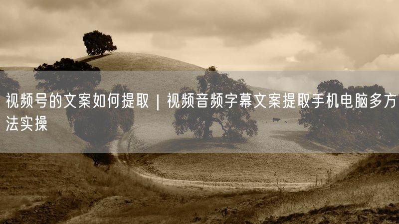 视频号的文案如何提取｜视频音频字幕文案提取手机电脑多方法实操