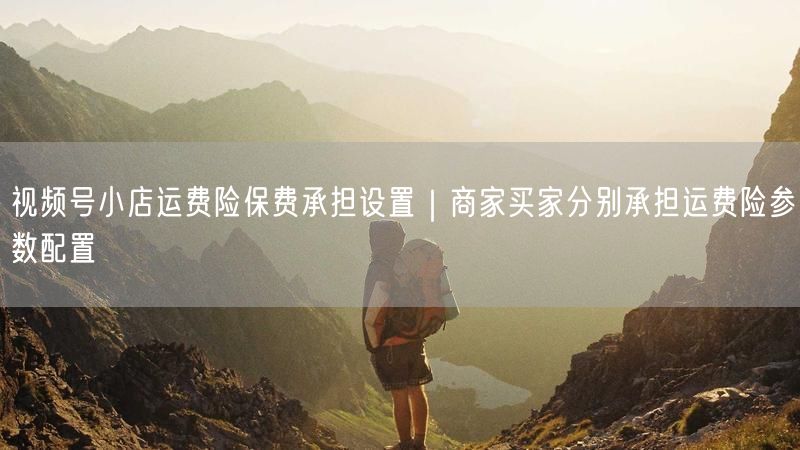 视频号小店运费险保费承担设置｜商家买家分别承担运费险参数配置