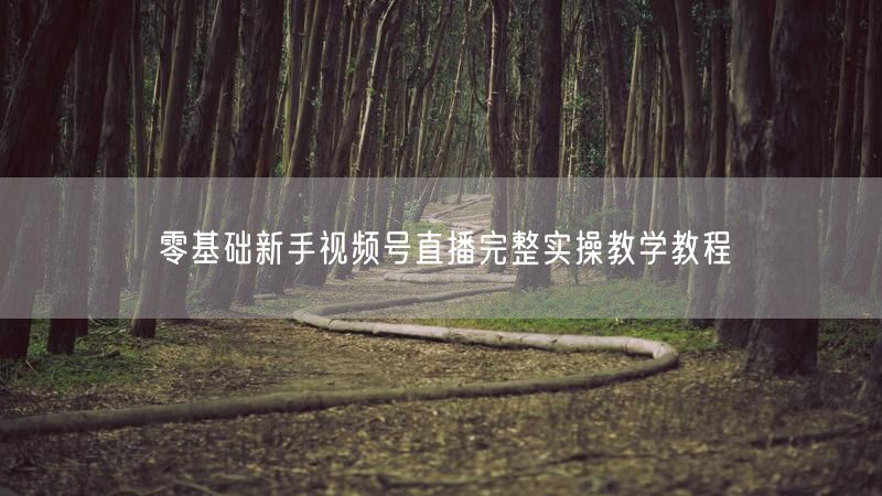 零基础新手视频号直播完整实操教学教程