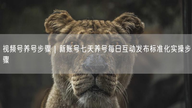 视频号养号步骤｜新账号七天养号每日互动发布标准化实操步骤